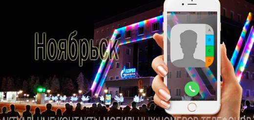 База мобильных телефонов города Ноябрьска