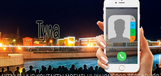 База мобильных телефонов города Тулы