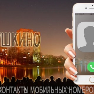База мобильных телефонов города Пушкино