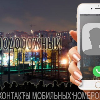 База мобильных телефонов города Железнодорожного